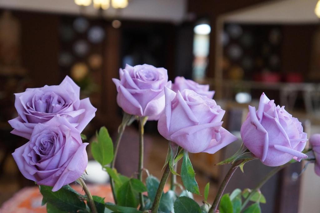Don Ramon Hotel & Spa Canela Buitenkant foto